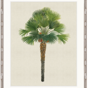 "Designer Boys Collections" Kebaya Palm IV Artwork, Kebaya Palm Collection