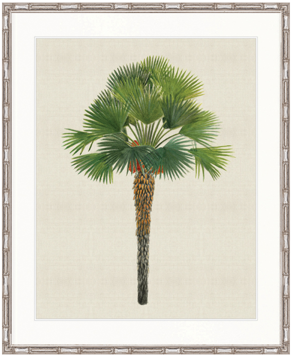 "Designer Boys Collections" Kebaya Palm IV Artwork, Kebaya Palm Collection