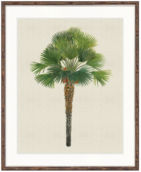 "Designer Boys Collections" Kebaya Palm IV Artwork, Kebaya Palm Collection - Image 2