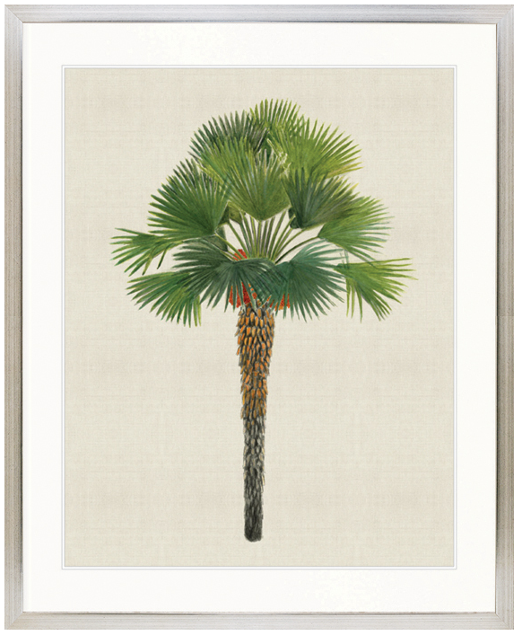 "Designer Boys Collections" Kebaya Palm IV Artwork, Kebaya Palm Collection - Image 3