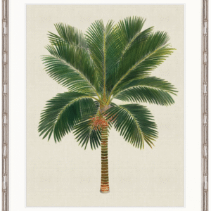 "Designer Boys Collections" Kebaya Palm V Artwork, Kebaya Palm Collection