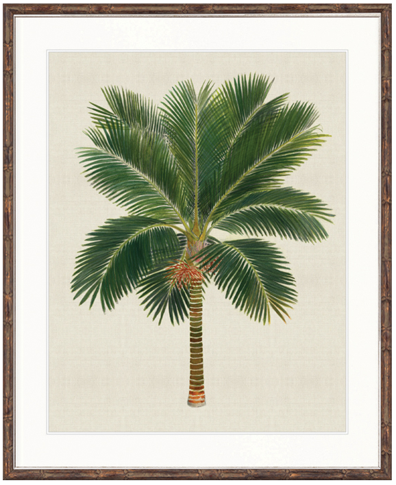 "Designer Boys Collections" Kebaya Palm V Artwork, Kebaya Palm Collection - Image 2