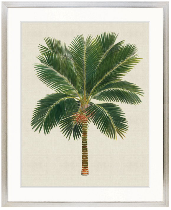 "Designer Boys Collections" Kebaya Palm V Artwork, Kebaya Palm Collection - Image 3