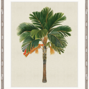 "Designer Boys Collections" Kebaya Palm VI Artwork, Kebaya Palm Collection