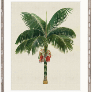 "Designer Boys Collections" Kebaya Palm VII Artwork, Kebaya Palm Collection