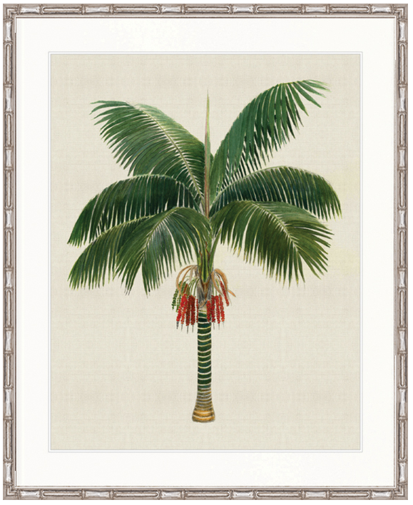 "Designer Boys Collections" Kebaya Palm VII Artwork, Kebaya Palm Collection