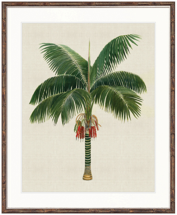 "Designer Boys Collections" Kebaya Palm VII Artwork, Kebaya Palm Collection - Image 2