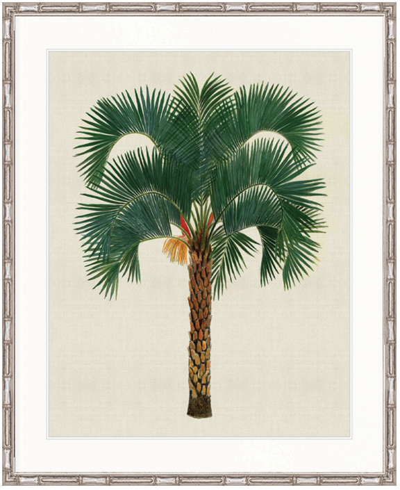 "Designer Boys Collections" Kebaya Palm VIII Artwork, Kebaya Palm Collection