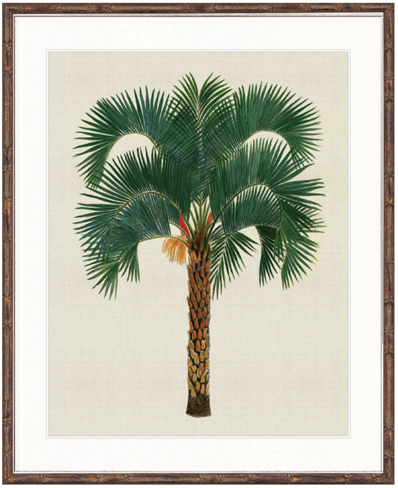 "Designer Boys Collections" Kebaya Palm VIII Artwork, Kebaya Palm Collection - Image 2
