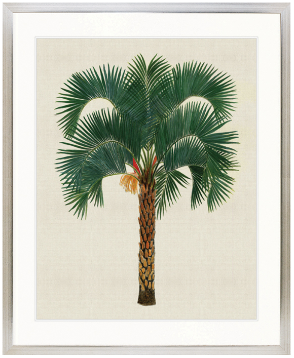 "Designer Boys Collections" Kebaya Palm VIII Artwork, Kebaya Palm Collection - Image 3