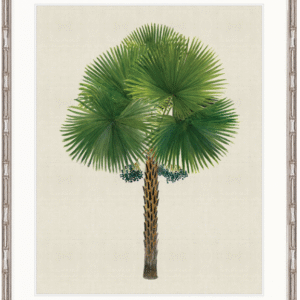 "Designer Boys Collections" Kebaya Palm IX Artwork, Kebaya Palm Collection
