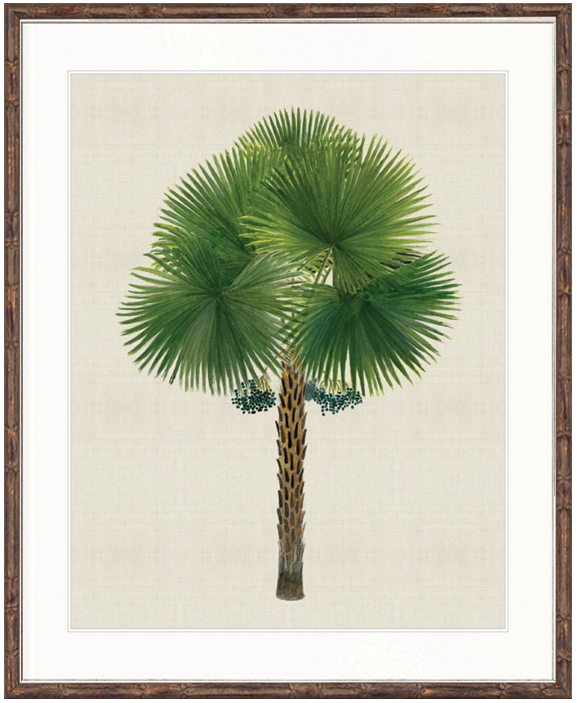 "Designer Boys Collections" Kebaya Palm IX Artwork, Kebaya Palm Collection - Image 2