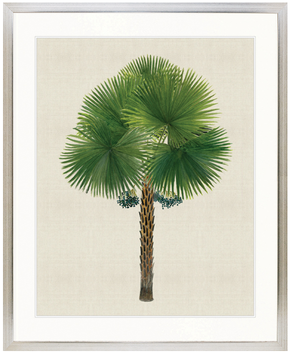 "Designer Boys Collections" Kebaya Palm IX Artwork, Kebaya Palm Collection - Image 3
