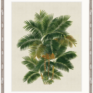 wp-image-tigress-33018.png "Designer Boys Collections" Kebaya Palm X Artwork, Kebaya Palm Collection