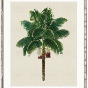 wp-image-tigress-33048.png "Designer Boys Collections" Kebaya Palm XI Artwork, Kebaya Palm Collection