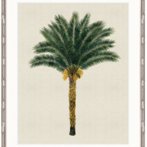 wp-image-tigress-33082.png "Designer Boys Collections" Kebaya Palm XII Artwork, Kebaya Palm Collection