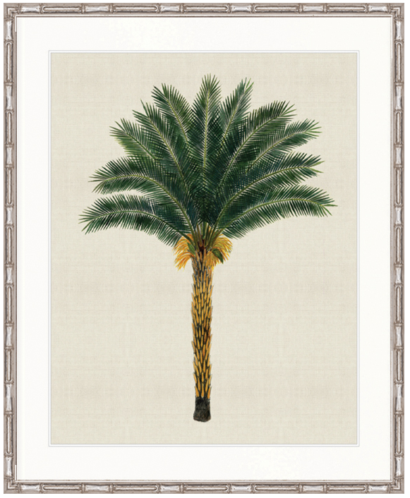 "Designer Boys Collections" Kebaya Palm XII Artwork, Kebaya Palm Collection