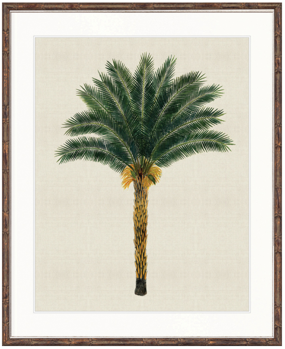 "Designer Boys Collections" Kebaya Palm XII Artwork, Kebaya Palm Collection - Image 2