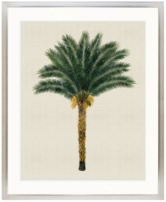 "Designer Boys Collections" Kebaya Palm XII Artwork, Kebaya Palm Collection - Image 3