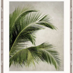 wp-image-tigress-36039.png "Designer Boys Collections" Exotic Palm I Artwork, Palm Cove Collection
