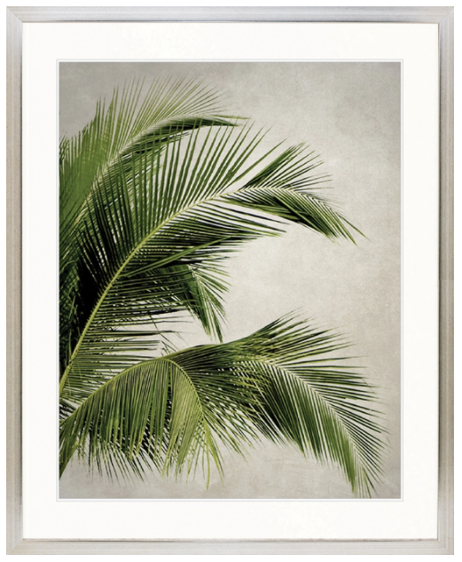 "Designer Boys Collections" Exotic Palm I Artwork, Palm Cove Collection - Image 2
