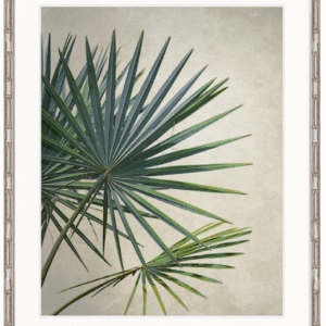 wp-image-tigress-36051.png "Designer Boys Collections" Exotic Palm II Artwork, Palm Cove Collection