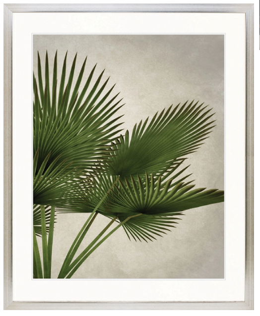 "Designer Boys Collections" Exotic Palm III Artwork, Palm Cove Collection - Image 2