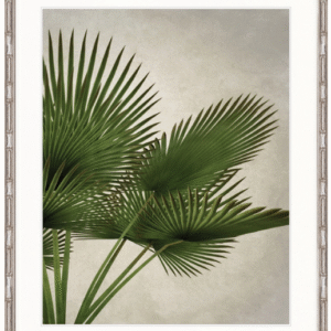 wp-image-tigress-36073.png "Designer Boys Collections" Exotic Palm III Artwork, Palm Cove Collection