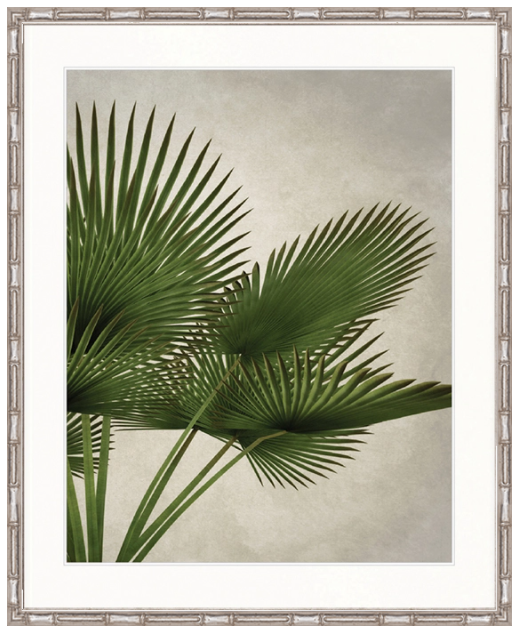 "Designer Boys Collections" Exotic Palm III Artwork, Palm Cove Collection