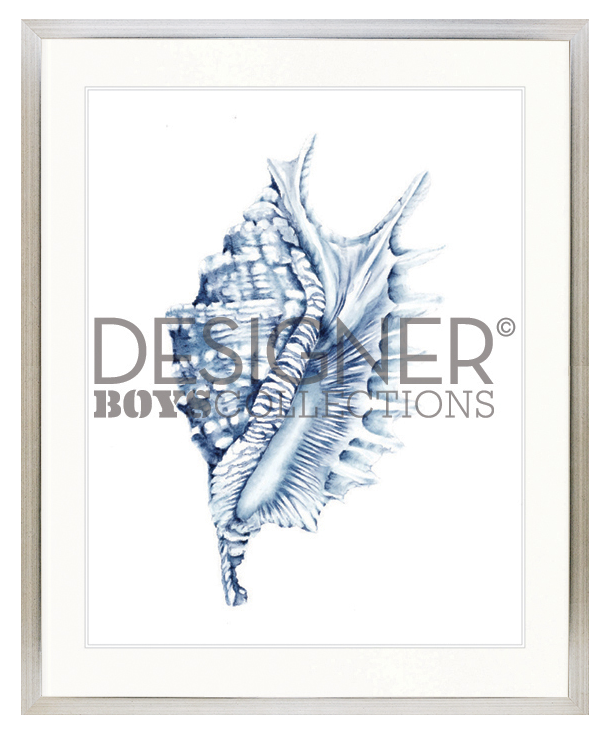 "Designer Boys Collections" Exquisite Shell IV Indigo Blue Artwork, Careel Bay Shell Collection - Image 3