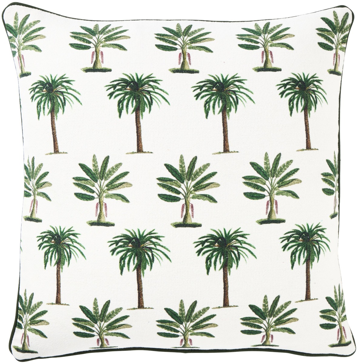 Palmy Raffles Cushion 50x50cm (RRP $79)