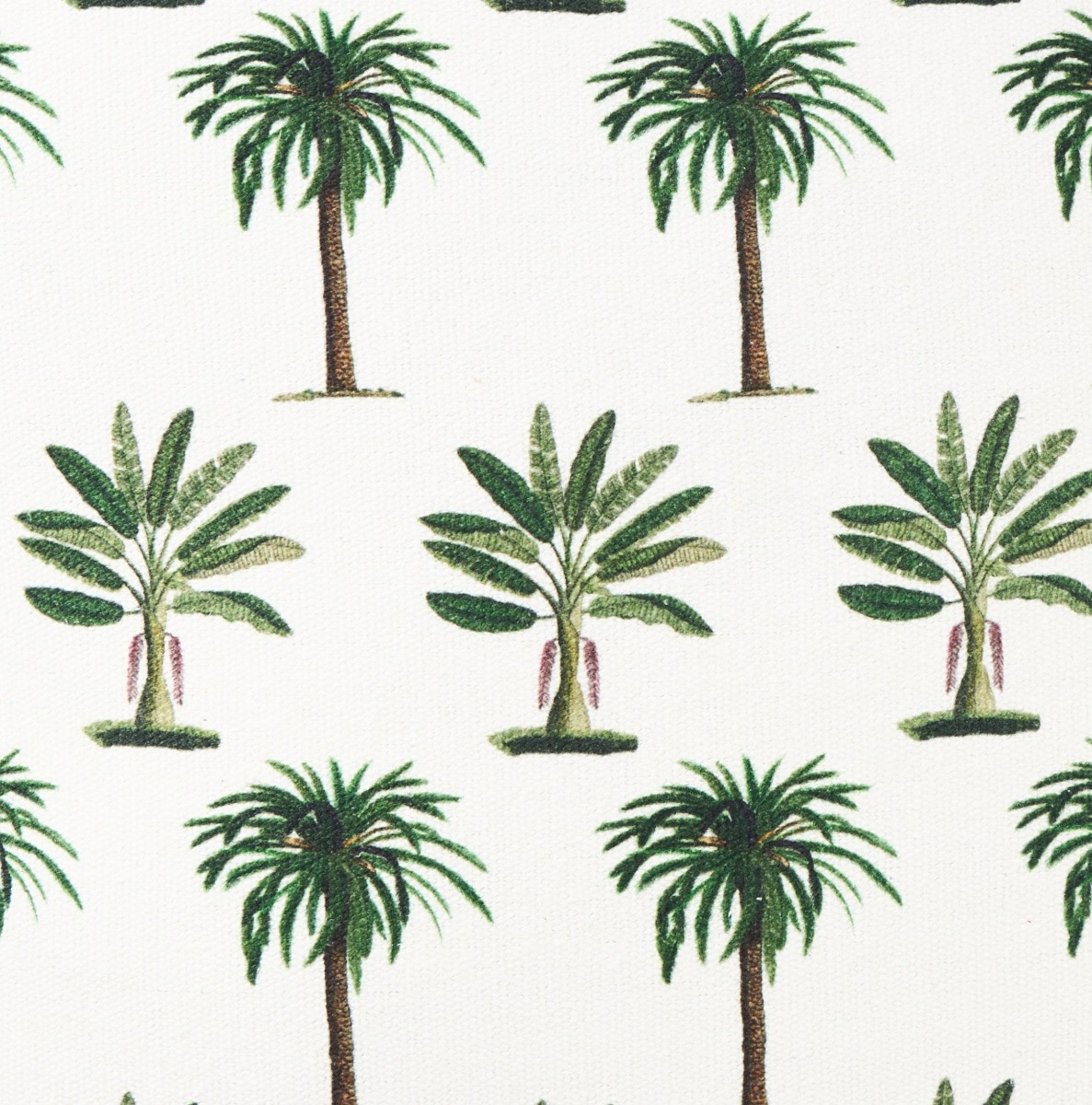 Palmy Raffles Cushion 50x50cm (RRP $79) - Image 2