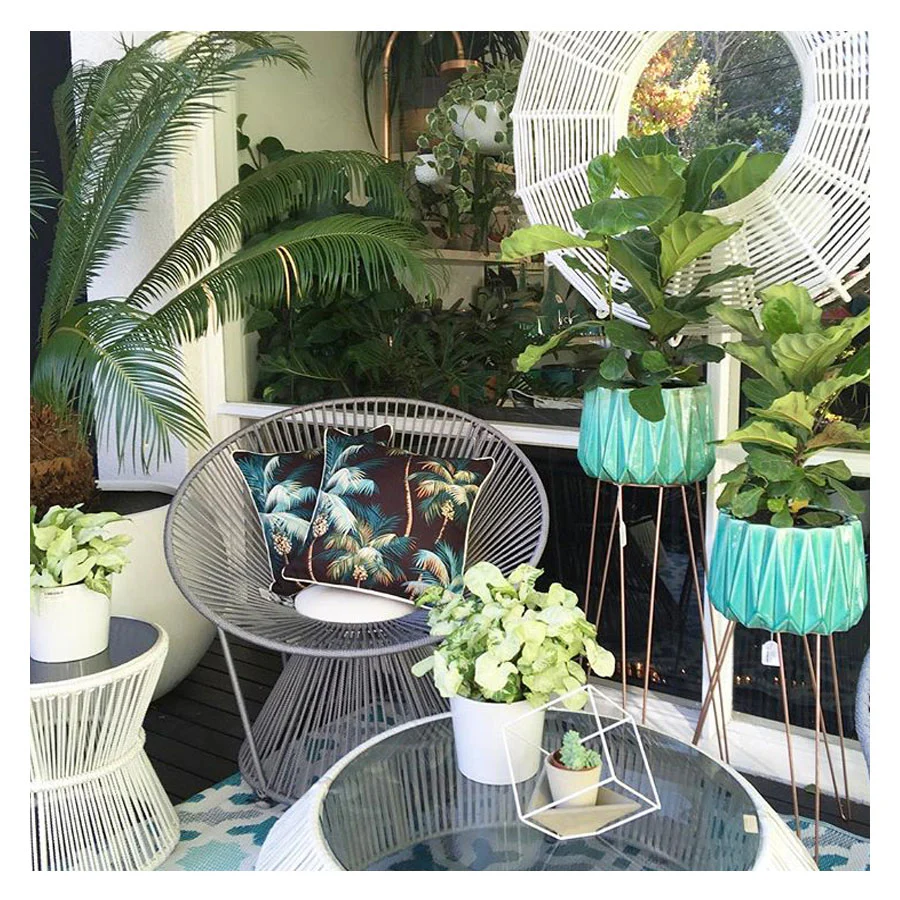 Outdoor Cushion With Piping Palm Trees Black 60cm x 60cm - Image 25
