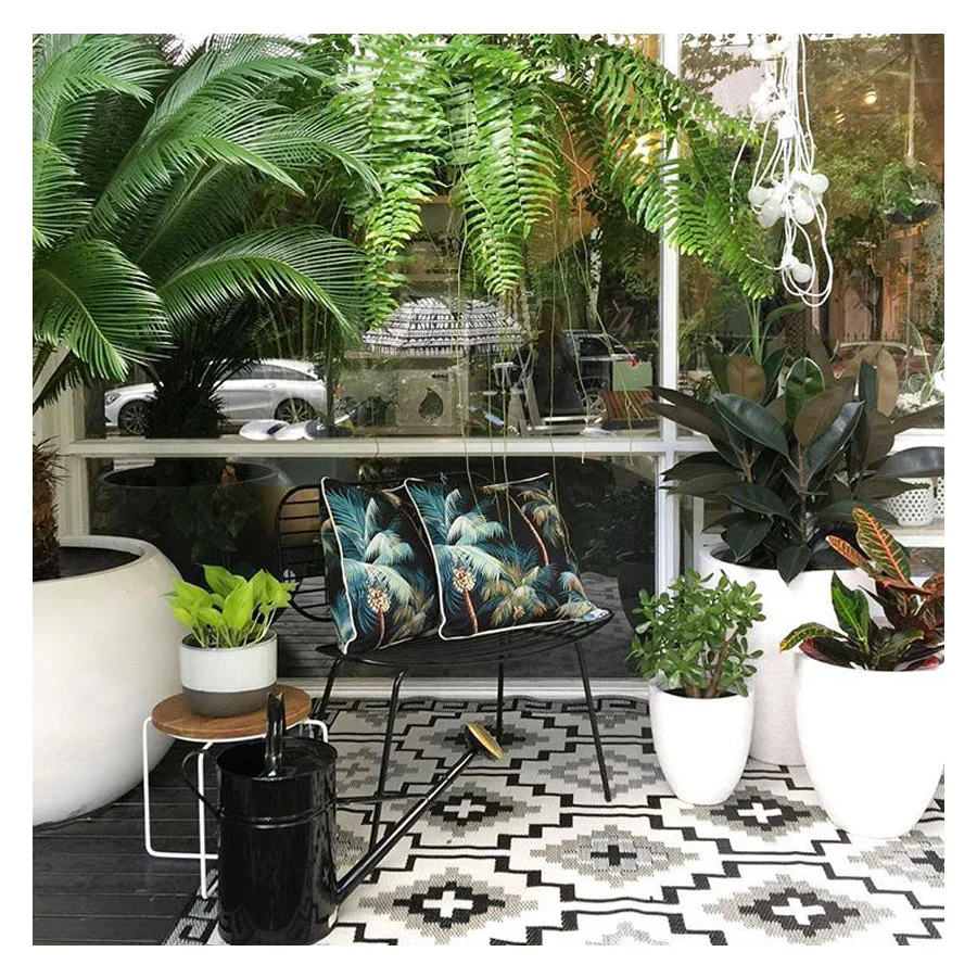 Outdoor Cushion With Piping Palm Trees Black 60cm x 60cm - Image 26